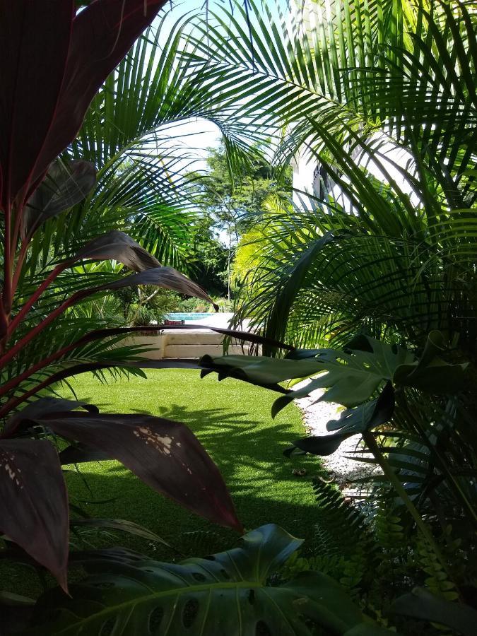 Palm Beach Inn Плайя-Гранде Экстерьер фото