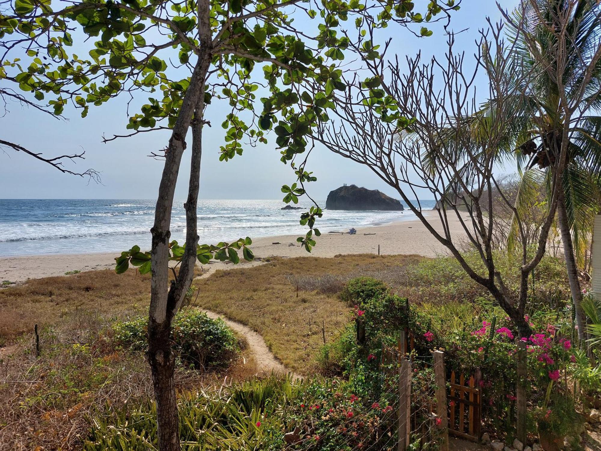 Palm Beach Inn Плайя-Гранде Экстерьер фото